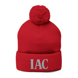 Cozy Pom-Pom Knit Winter Beanie